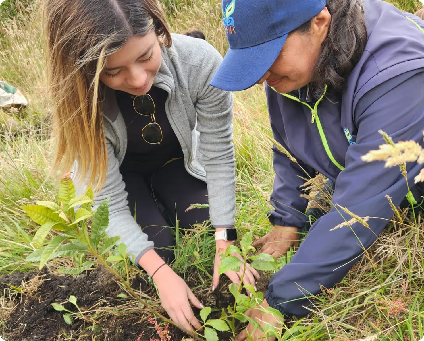 Imagen rectangular decorativa